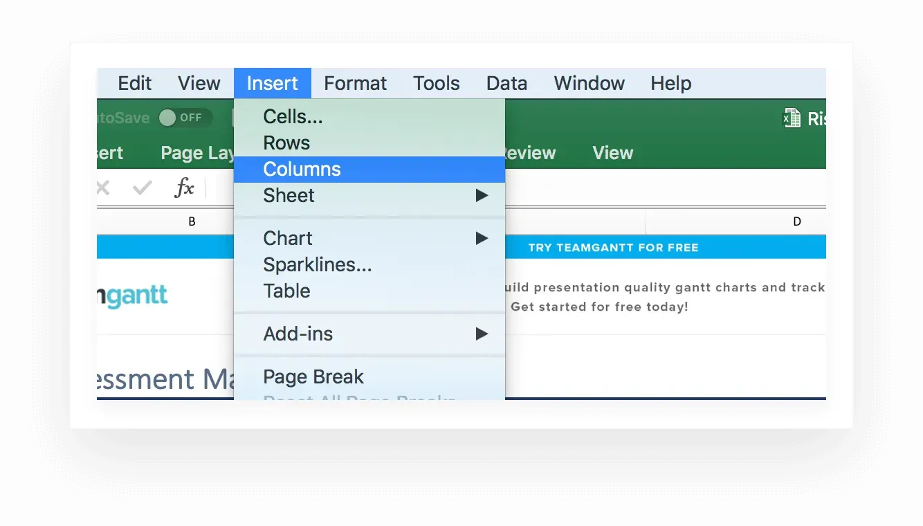 Inserting a new column into your risk assessment template