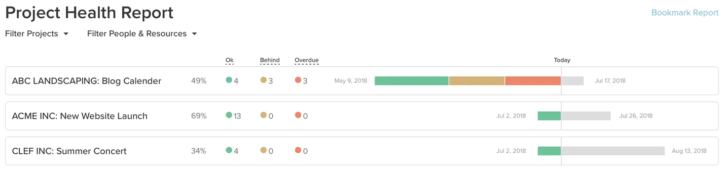 Project Health Report example