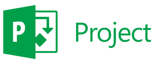 MS Project Professional