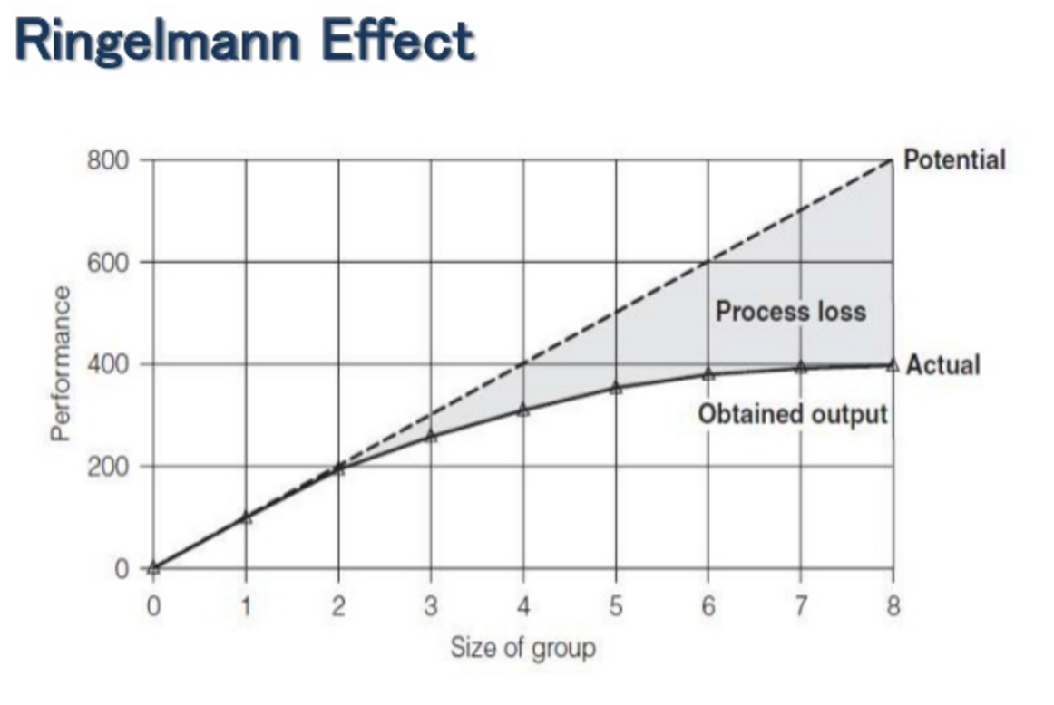 ringelmann effect for productivity